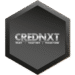 CredNxt Consulting
