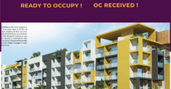 Ready To Move 2BHK Flat ( 3rd Floor ) 3 Units for Sale in Jakkur, Bangalore