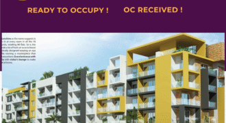 Ready To Move 2BHK Flat ( 3rd Floor ) 3 Units for Sale in Jakkur, Bangalore