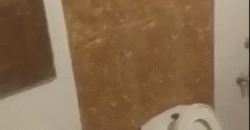 Ready-to-Move 3 BHK at Sarjapur | Confident Jade by Confident Group