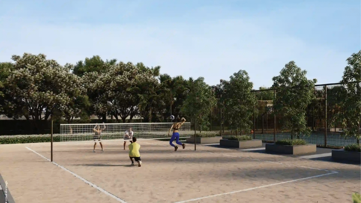 Volleyball Area